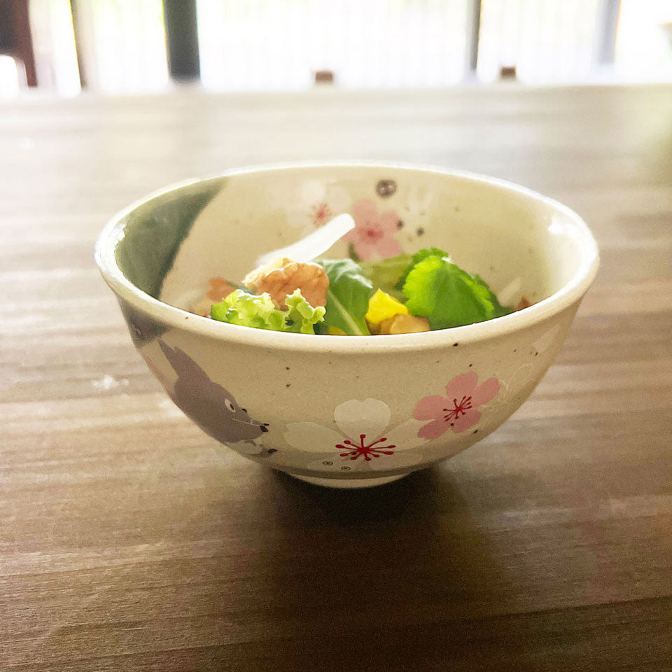 【預訂】吉卜力 Skater龍貓系列