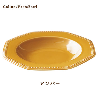 【現貨】日本製 Roots 26cm復古西式湯碟