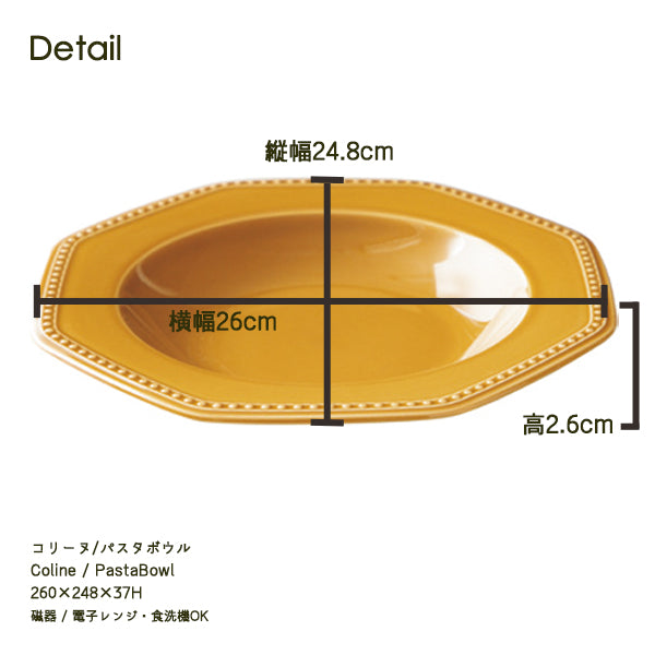 【現貨】日本製 Roots 26cm復古西式湯碟
