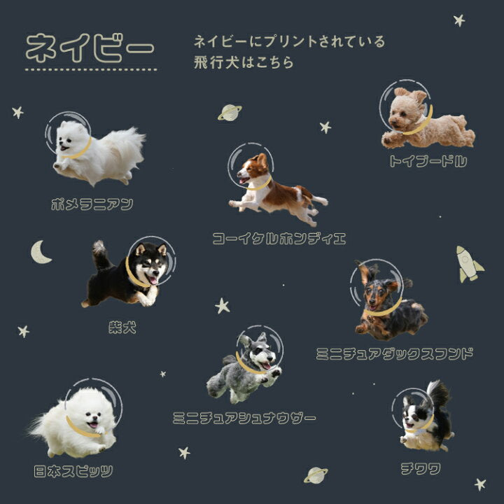 【預訂】日本直送 Flying Dog x Wpc. Space 迷李傘