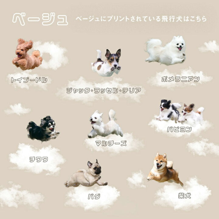 【預訂】日本直送 Flying Dog x Wpc. Umbrella Mini