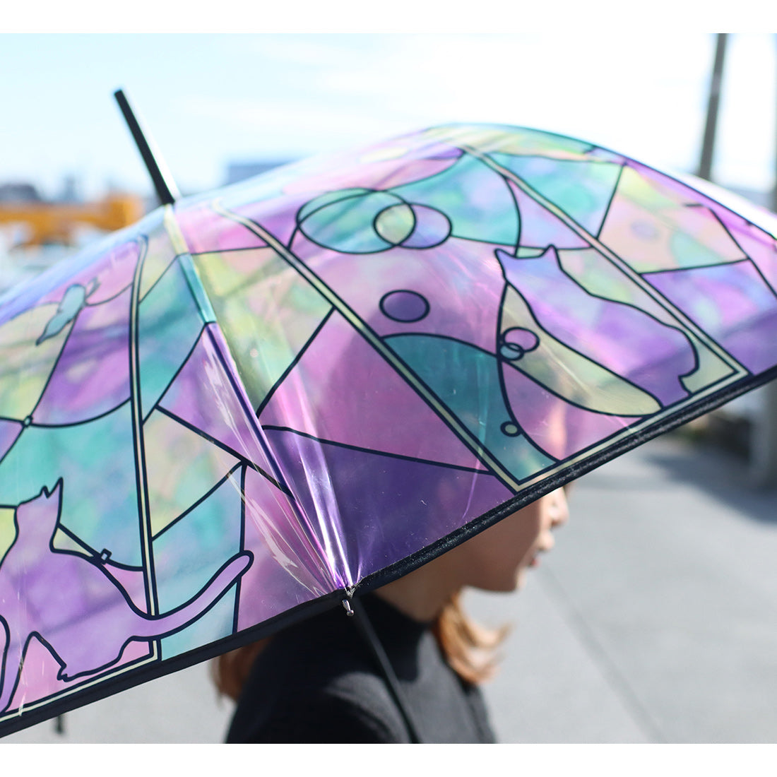 【預訂】日本直送 彩繪玻璃風貓與蝶透明雨傘