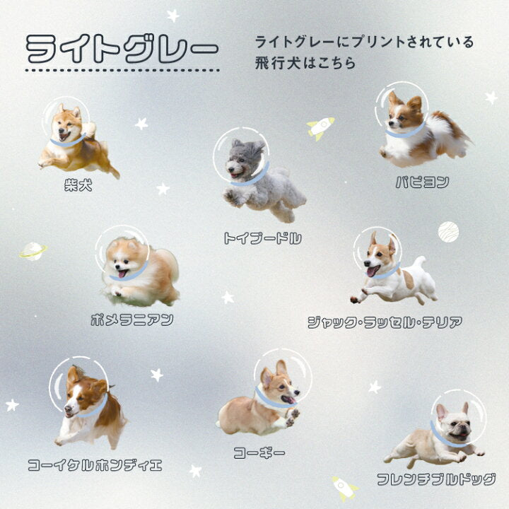 【預訂】日本直送 Flying Dog x Wpc. Space 迷李傘