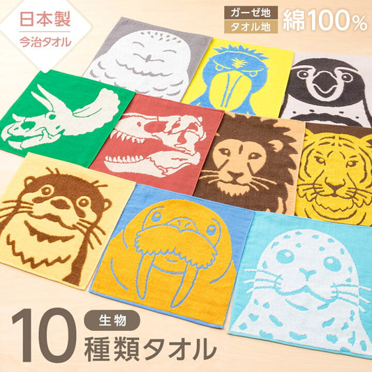 【訂購】日本製 今治動物世界毛巾