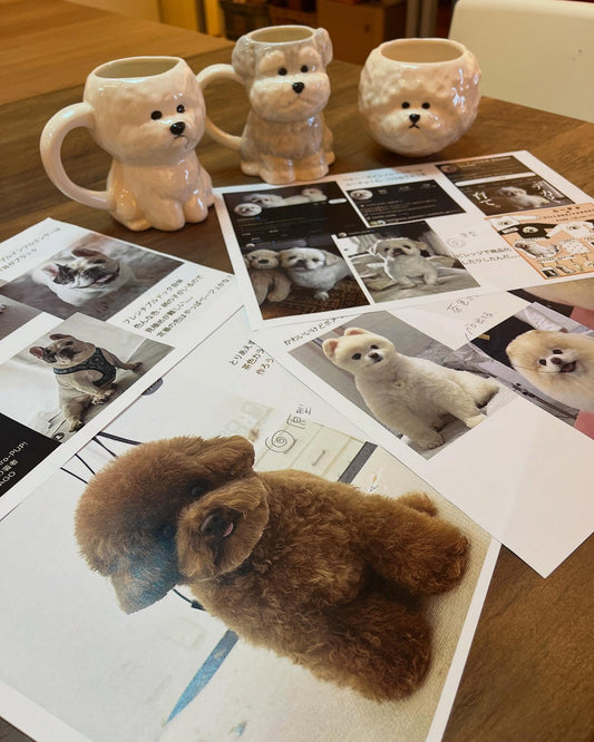 【預訂】日本直送 Sunart比熊陶瓷系列