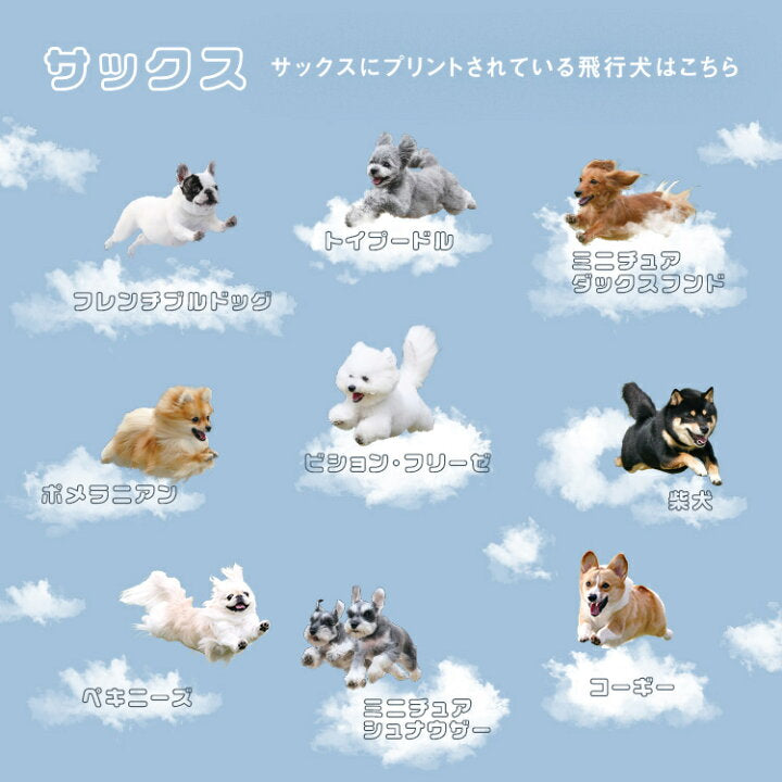 【預訂】日本直送 Flying Dog x Wpc. Umbrella Mini