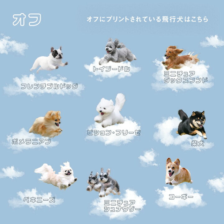 【預訂】日本直送 飛狗 x Wpc. Flying One-Brera 長款雨傘