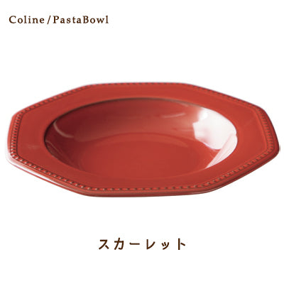 【現貨】日本製 Roots 26cm復古西式湯碟