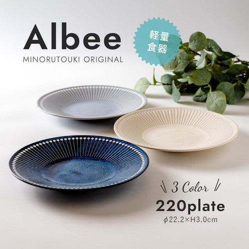 【預訂】日本製 albee平碟