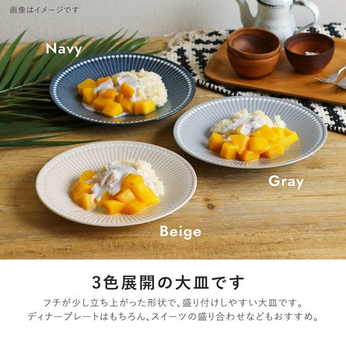 【預訂】日本製 albee平碟